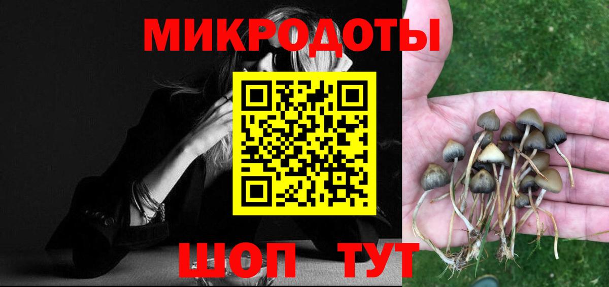 Псилоцибиновые грибы ЛСД  Вход с VPN  Галлюциногенные грибы Psilocybine cubensis  купить  цена  Карачаевск 